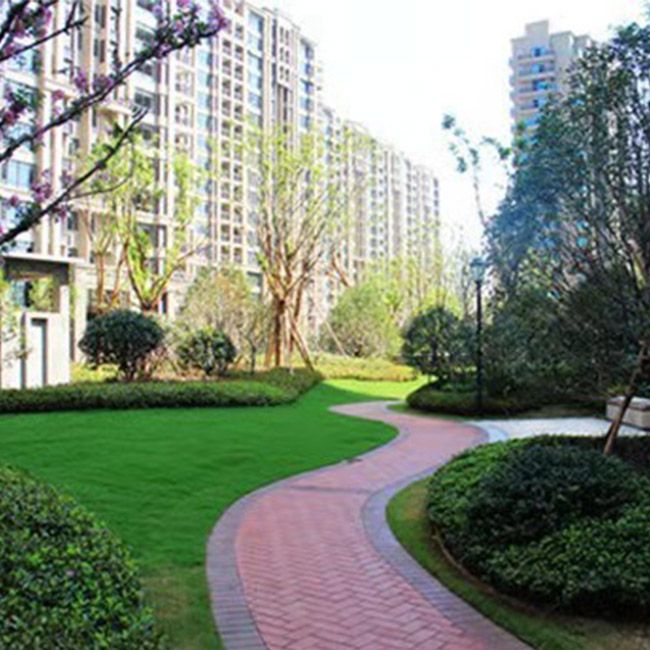 公園綠化施工設計及養護