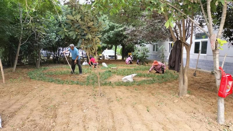 廠(chǎng)區草坪綠化展示